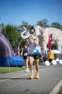 BIB: 
                            <button type="button" onclick="openModal(26543905)" class="btn btn-primary btn-sm float-right btn-popup" data-toggle="modal" data-target=".modal-high-quality">
                        <i class="fas fa-shopping-cart"></i> Add to Cart
                    </button>
                                            <button type="button" onclick="isThisMe(26543905, true)" class="btn btn-success btn-sm float-right btn-popup btn-isme hidden" data-toggle="tooltip" data-placement="bottom" title="นี่คือรูปของคุณใช่ไหม คลิกที่นี่เพื่อเอาเข้าอัลบั้ม">
                        <i class="fas fa-plus"></i> Add to album
                    </button>
                    <button type="button" onclick="isThisMe(26543905, false)" class="btn btn-warning btn-sm float-right btn-popup btn-isnotme hidden">
                        <i class="fas fa-ban"></i> Remove from album
                    </button>